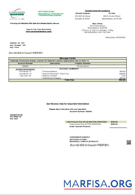 Downloadable USA Consumers Energy business utility bill template in Word and PDF formats